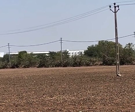 4 Acre Land for Sale Near Chavand | Virpur Village